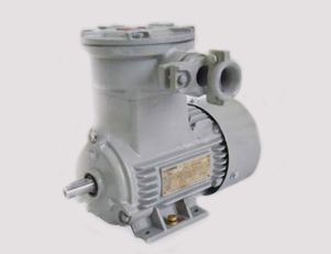 進(jìn)一步了解南陽(yáng)防爆三相異步電動(dòng)機(jī)