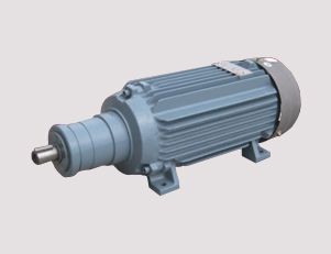 南陽電機廠的高壓電機定期維護的內容是什么呢？