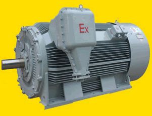 南陽YB2系列高壓隔爆型三相異步電動(dòng)機(jī)