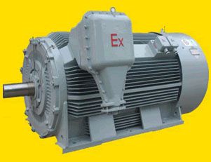 南陽YB2系列高壓隔爆型三相異步電動(dòng)機(jī)